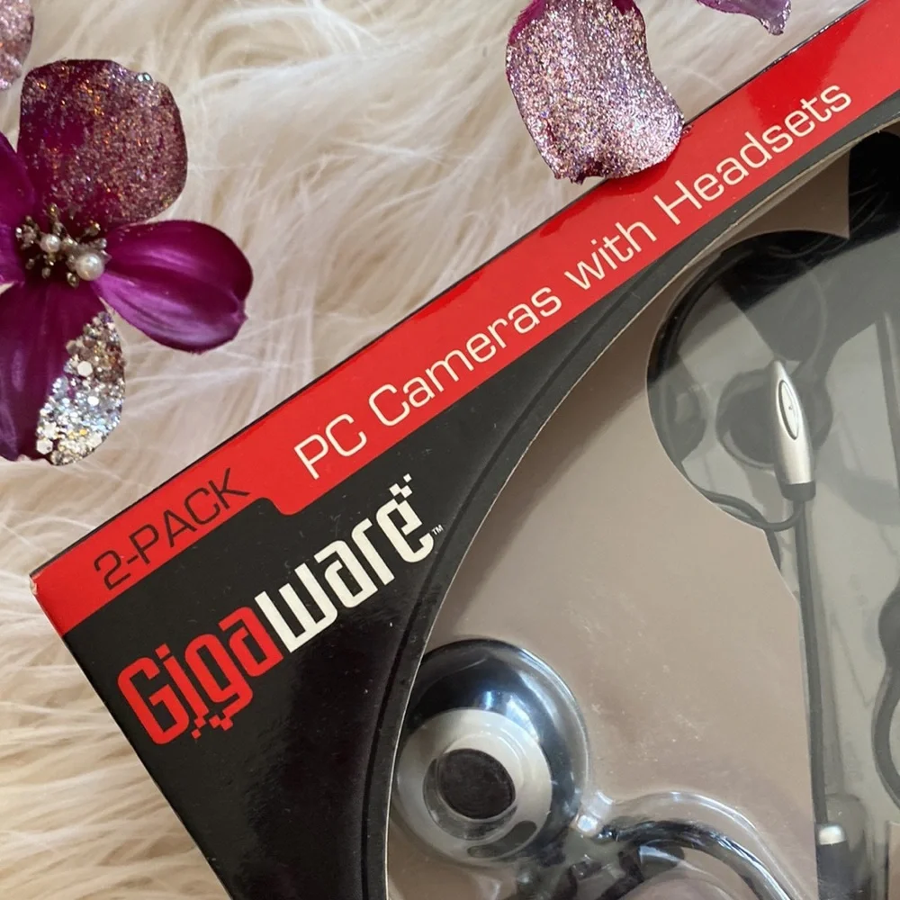 GIGA WARE 2/pack cameras with headsets